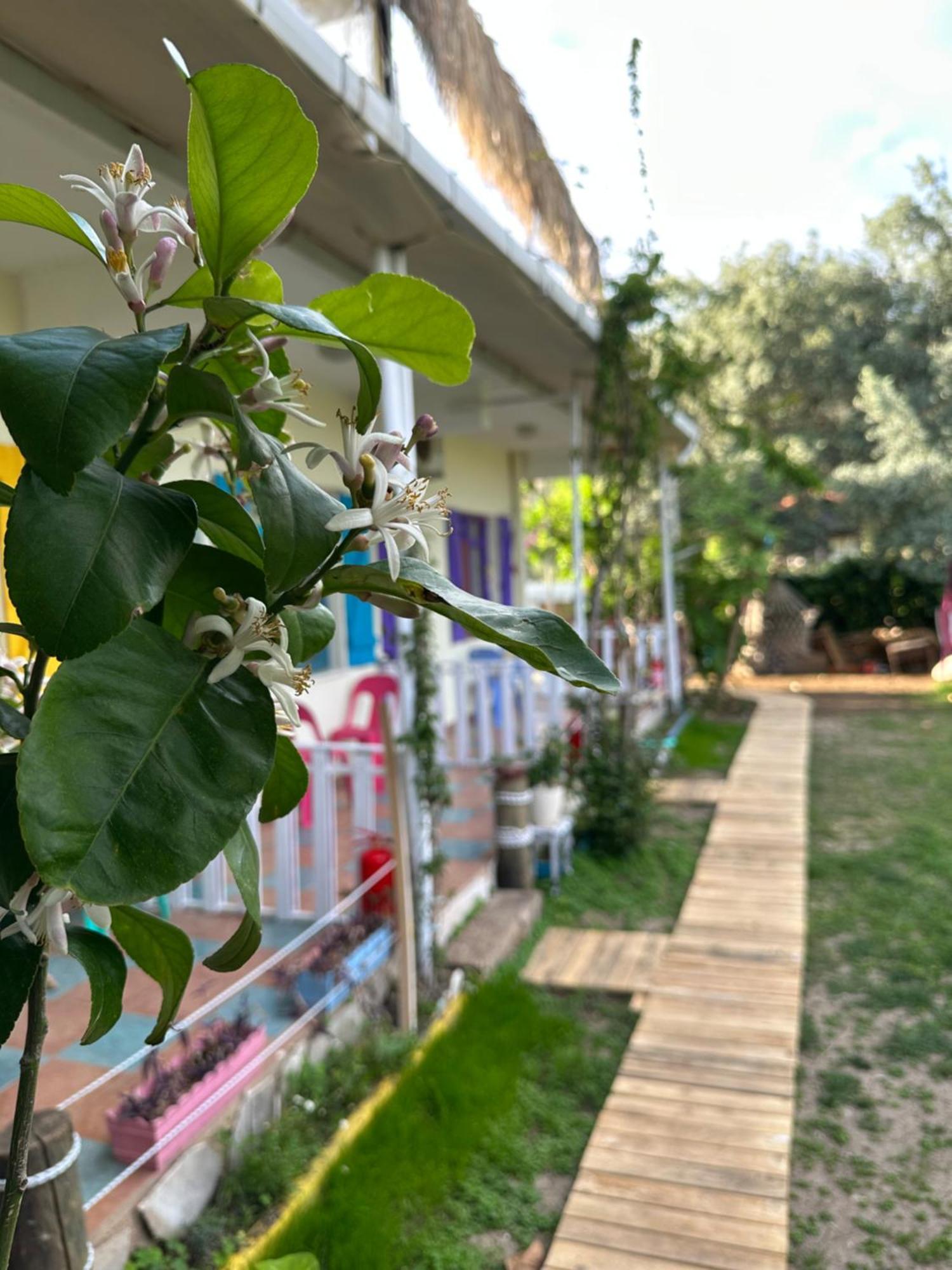 Gaya Pansiyon Cirali Kemer Exterior photo